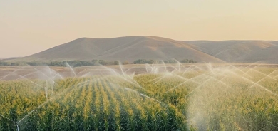 وزارة الزراعة في كوردستان تستقبل 11 ألف طلب توظيف بالقطاع الخاص