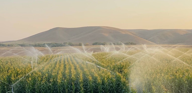 وزارة الزراعة في كوردستان تستقبل 11 ألف طلب توظيف بالقطاع الخاص