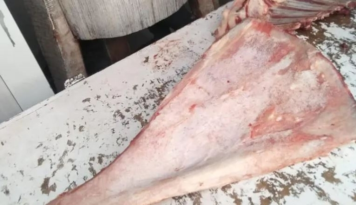 لماذا يقوم الجزار بكسر عظمة 