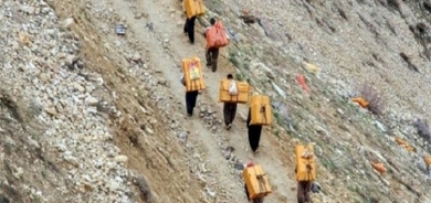 Di salekê de 29 Kolber hatine qetil kirin