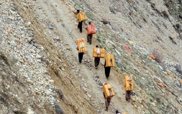 Di salekê de 29 Kolber hatine qetil kirin