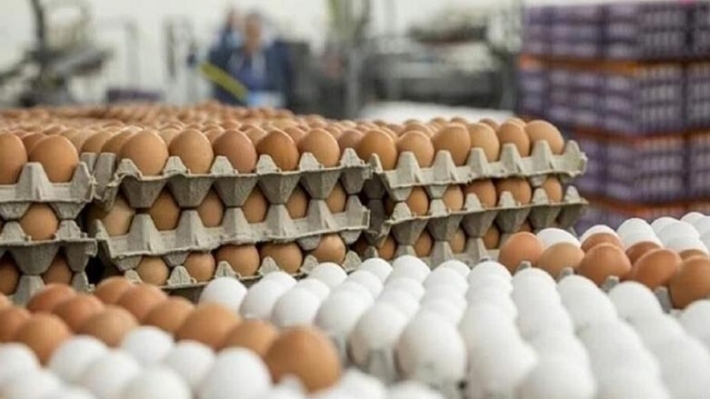 الزراعة الاتحادية تسمح بنقل بيض المائدة من اقليم كوردستان الى المحافظات