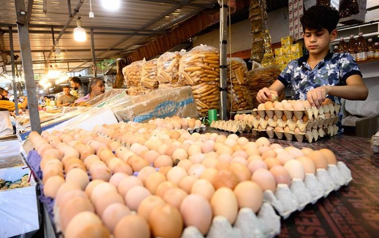 وزارة زراعة إقليم كوردستان: سنرسل الفائض من بيض المائدة إلى محافظات الوسط والجنوب