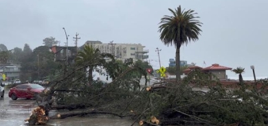 Li başûrê Amerîkayê ji ber bakurofe û bablîsokan 8 kesan canê xwe ji dest dan