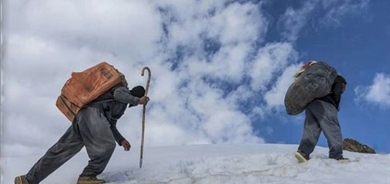 290 kolber li ser sînorên Kurdistanê hatine kuştin