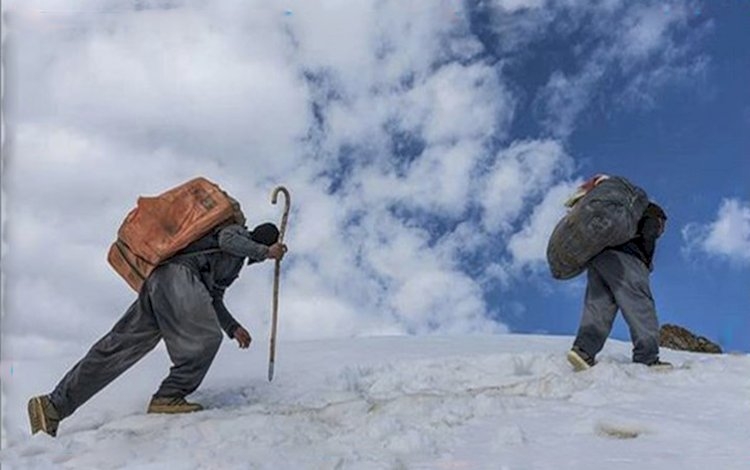 290 kolber li ser sînorên Kurdistanê hatine kuştin