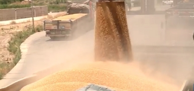 تجارة كوردستان تكشف عن موعد صرف مستحقات الفلاحين لعام 2015