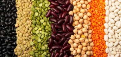 مصدر مهم للبروتينات والحديد .. ما هي الفوائد الصحية لتناول البقوليات؟