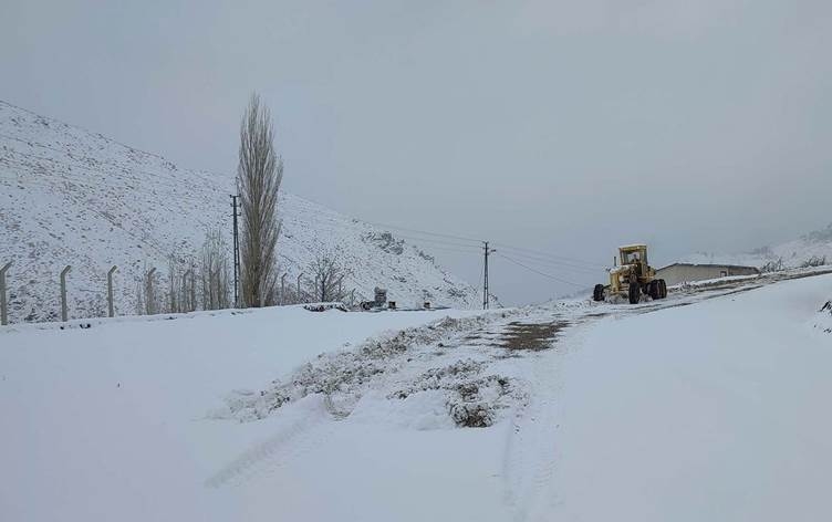 Li Wan, Colemêrg, Bedlîs û Mûşê ji ber berfê rêyên 1028 gundan hatin girtin