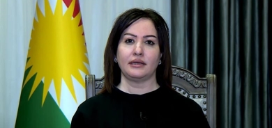 فالا فريد : المحكمة الاتحادية غير دستورية وتتعامل مثل محكمة مركزية