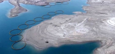 انتاج 6 آلاف طن من الأسماك في إقليم كوردستان سنوياً