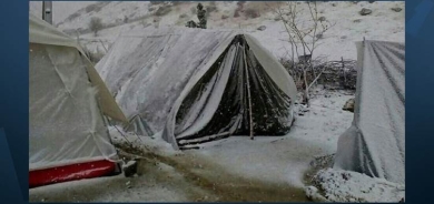 Li Xoyê dayik û kurek di kon de canê xwe ji dest dan