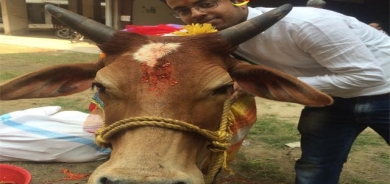 مۆدی سێڵفی لەگەڵ چێڵەكان