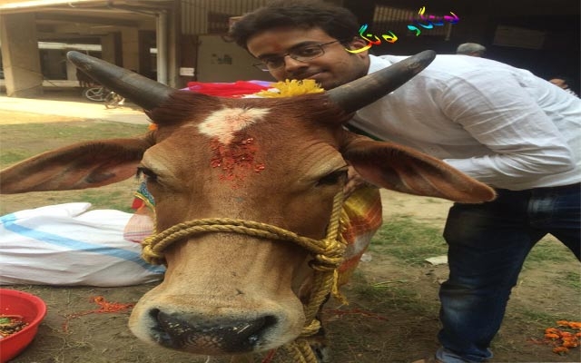 مۆدی سێڵفی لەگەڵ چێڵەكان