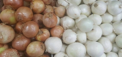 لبنان يوقف تصدير البصل للعراق