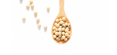 پرۆتینی سۆیا بۆ دابەزاندنی كۆلیستیرۆڵ