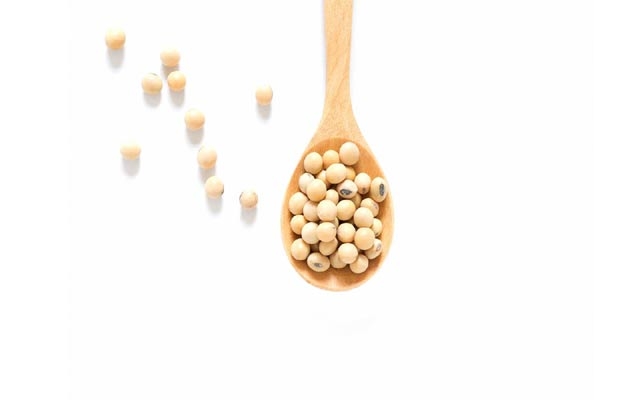 پرۆتینی سۆیا بۆ دابەزاندنی كۆلیستیرۆڵ