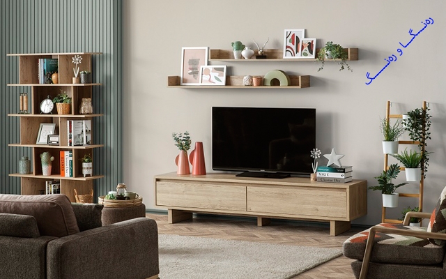 جوانی و پێویستی دیكۆری تەلەفزیۆن لە ماڵەكەتەدا