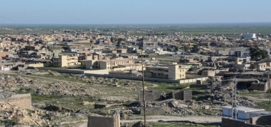 Şingal – Kesekî 2 kurmamên xwe kuştin