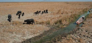 Iraq: Ji ber welatên cîran me %70 ji pişka xwe ya avê ji dest daye