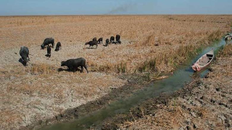 Iraq: Ji ber welatên cîran me %70 ji pişka xwe ya avê ji dest daye