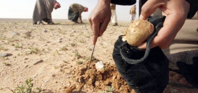 Dema dombelan kom dikirin mîn teqiya: 10 kes mirin