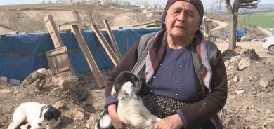 Li gundên Mereşê bi hezaran serî pez di erdhejê de telef bûne