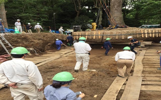 هەڵكەندن و گواستنەوەی دار و رووەك