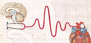 یەك مانگ پێش روودانی نۆرەی دڵ