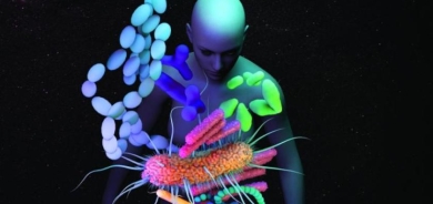 «الشهوات الغذائية»... كيف تتولد؟