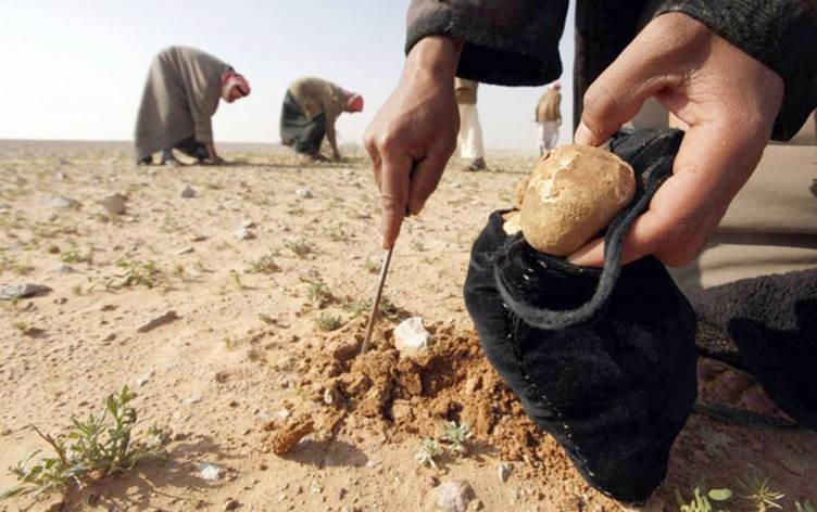 11 Komkerên dumbelanan ji ber teqîna mînan canê xwe ji dest dan