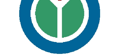 Wikimedia Launches Sorani Kurdish Edition of Online Dictionary Wikiferheng, Calls on Kurds to Contribute