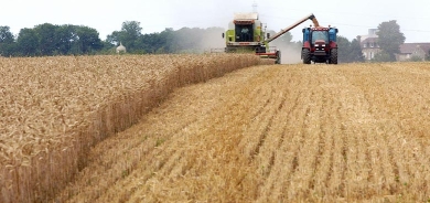 Moskow gefa betalkirina rêkeftina hinardeya dexl û danê dixwe