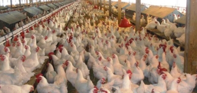 Îraq hawirde kirina çend berheman ji Tirkiyeyê qedexe kir