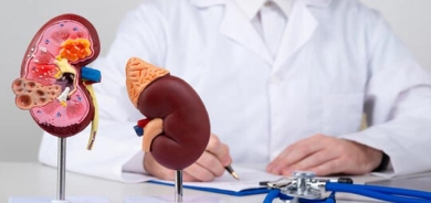 شەكر هاندەرە بۆ كیسی گورچیلە