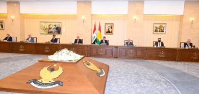 Proje qanûna bîmeya karî hatiye pejrandin