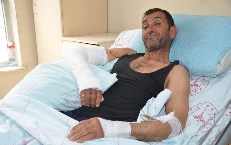 Li Geverê hirçê êrîşî welatiyekî kir