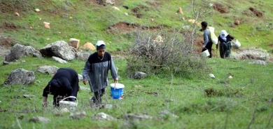 Jinên Mûşê kerengan kom dikin