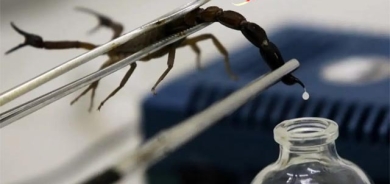 ژەهـری دووپـشك