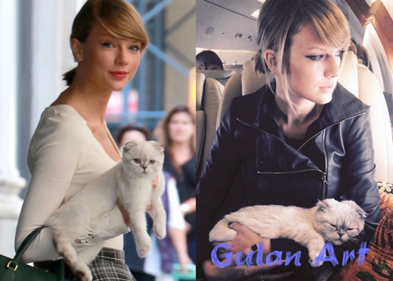 پشیلەكەی تایلۆر سویفت  خاوەنی ٩٧ ملیۆن دۆلارە