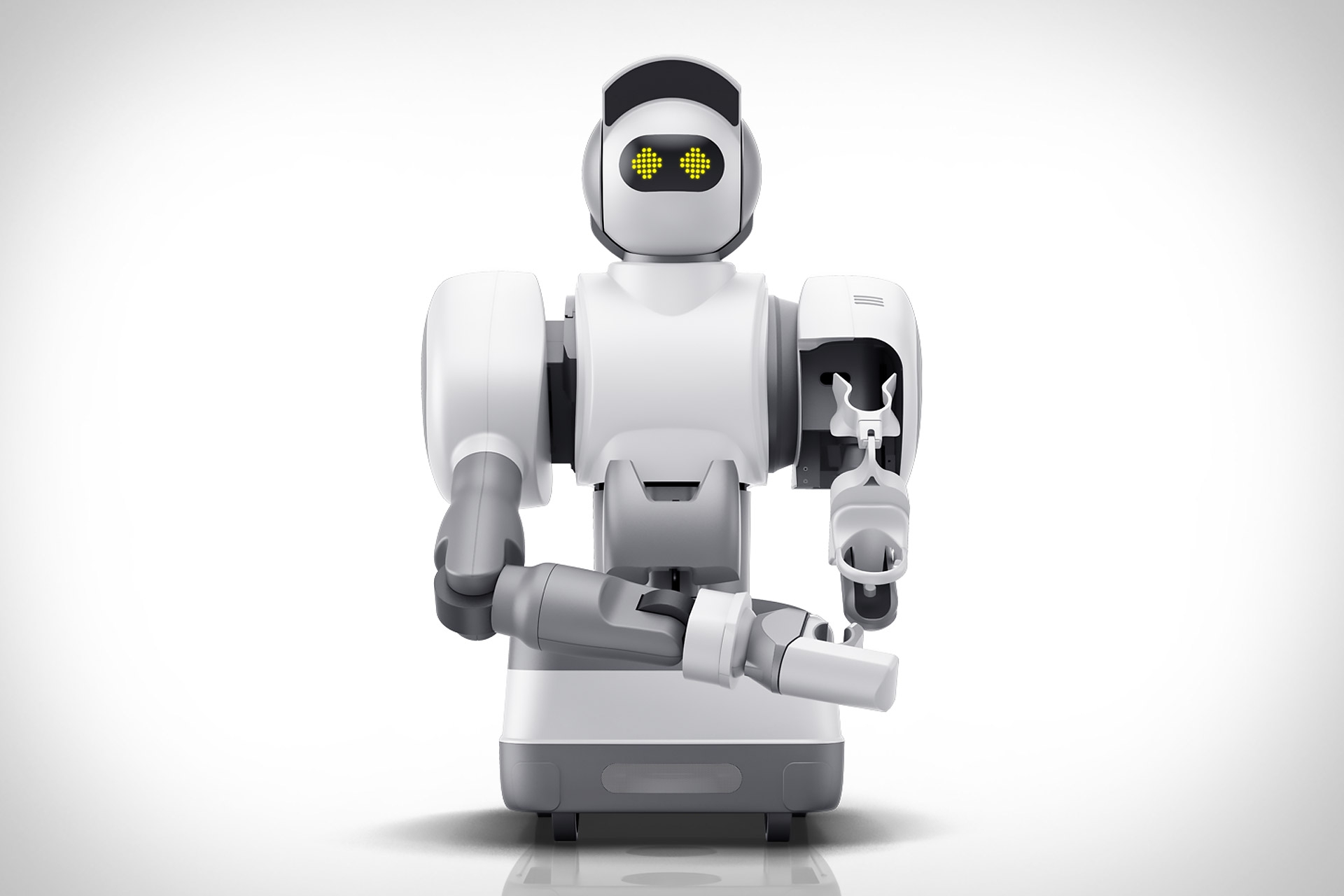 رۆبۆتی خزمەتگوزار