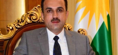 محافظ أربيل: سيتم جمع الكلاب السائبة لإخصائها واطلاق سراحها مجدداً