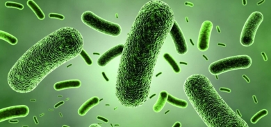 مضاد حيوي منسي منذ عقود قد يكون قاتلا خارقا للبكتيريا