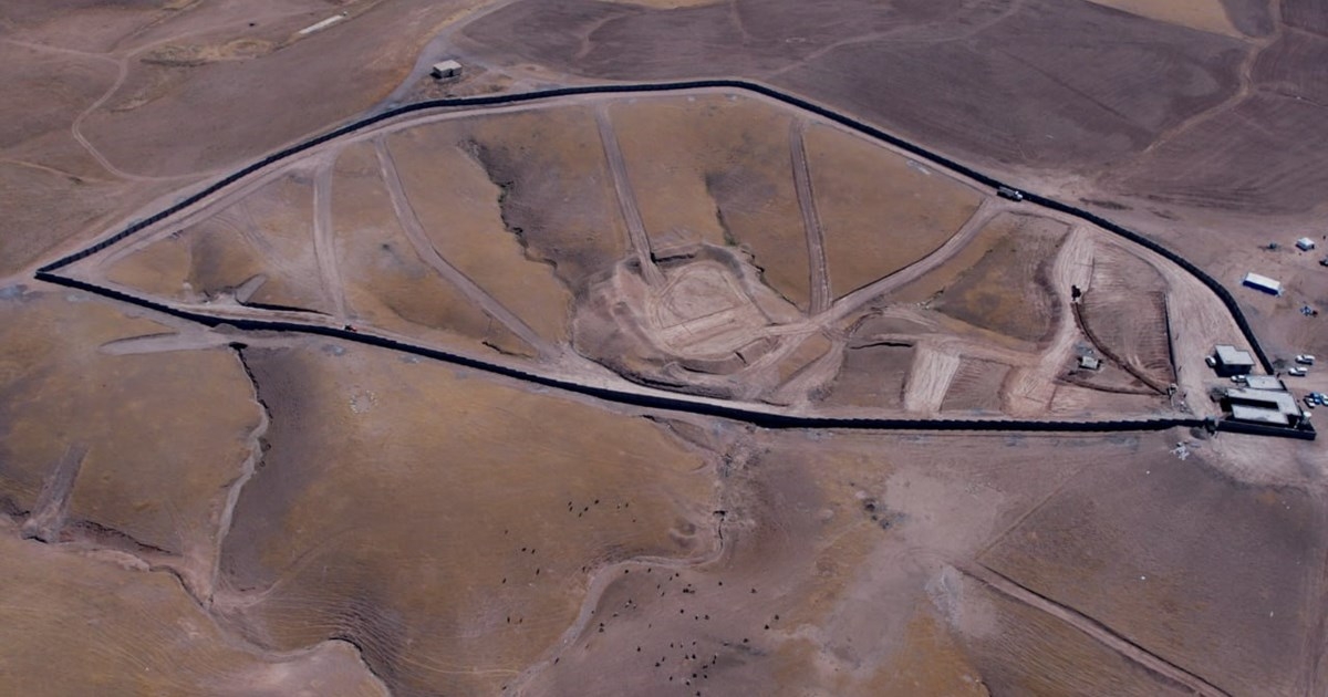 Erbil Veterinary Directorate to Build Shelter for Stray Dogs, Ensuring Citizen Safety