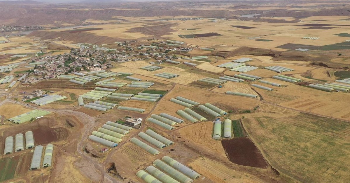 Kurdistan Region Implements Reform Plan to Boost Agricultural Sector and Promote Kurdish Produce in Global Markets