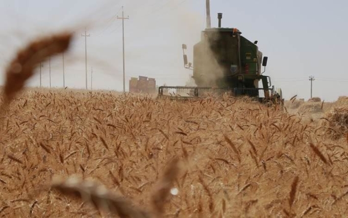 برلمانية كوردية: الحكومة العراقية تتبع سياسة «غير وطنية» مع مزارعي إقليم كوردستان