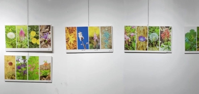 عومەر خدر كاكیل چوارەم پێشانگەی فۆتۆگرافەریی خۆی كردەوە