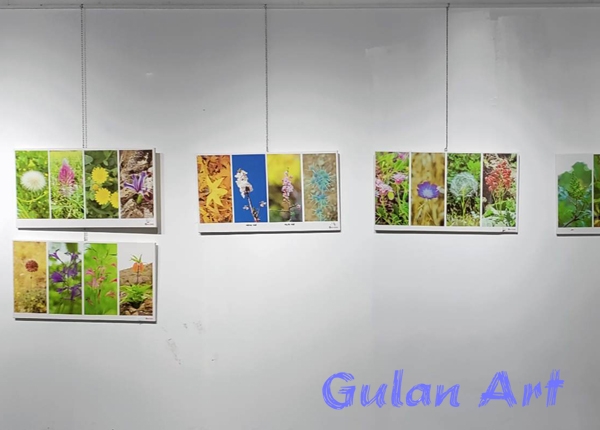 عومەر خدر كاكیل چوارەم پێشانگەی فۆتۆگرافەریی خۆی كردەوە