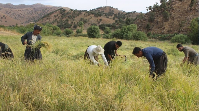 كوردستان تقدم تسهيلات كبيرة للمزارعين لتصدير محاصيلهم إلى الخارج
