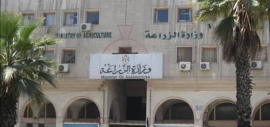 الزراعة: تنسيق مع الإقليم لحماية المنتج المحلي والالتزام بالروزنامة الزراعية